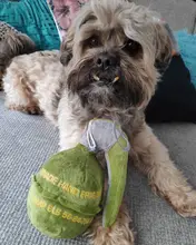 Plush-Dolls Dog-Toys Dog-Accessories Interactive-Toy Dogs Airdrop Puppy Game Chew-Molar