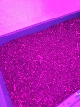 Phyto-Lamp Grow-Light Flower Seedlings Goodland USB Full-Spectrum For Plants LED 