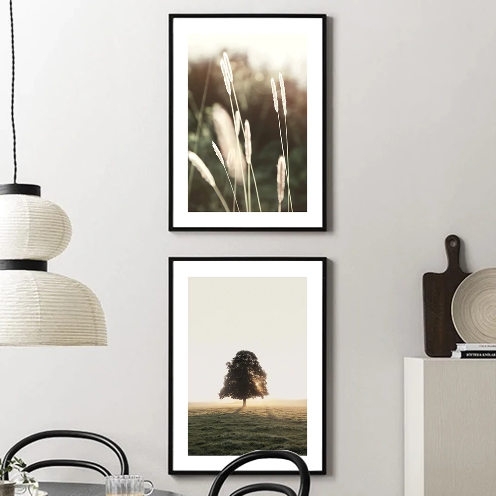 

Natural Reed Grass Tree Sunlight Nordic Wall Art Canvas Painting Posters And Prints Landscape Pictures For Living Room Decor