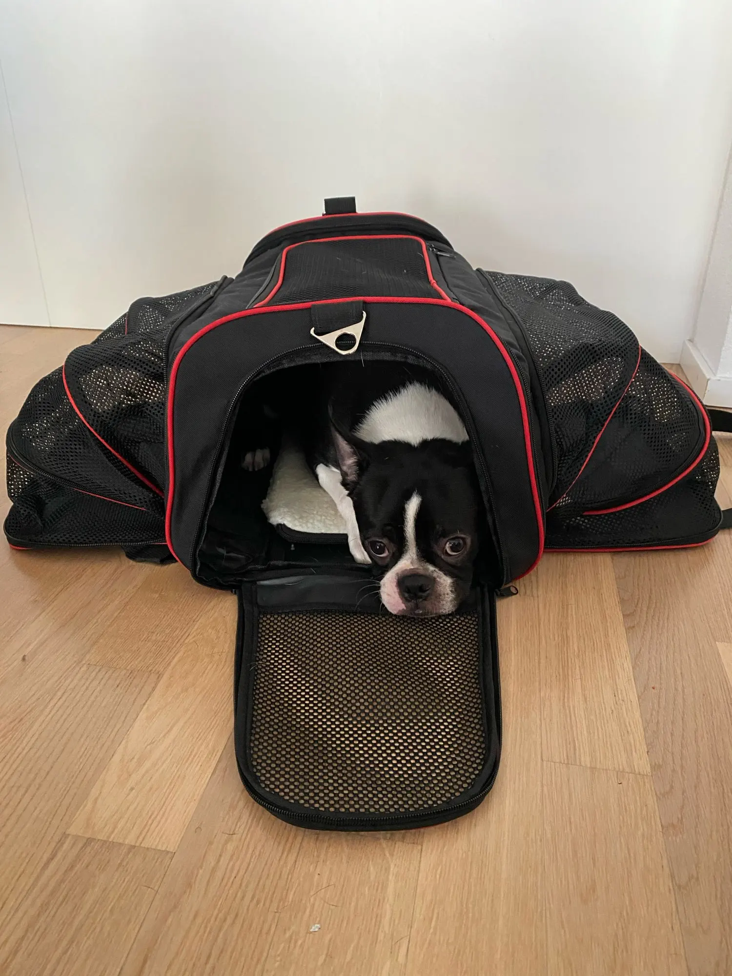Travel Expandable Dog Carrier