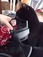 De policarbonato para perros ajustable máscara ladrar morder de la boca de malla boca aseo Anti deja de masticar