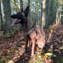 Vest Harnesses Pet-Training Dogs Military-Working Tactical Medium Nylon Durable for Large