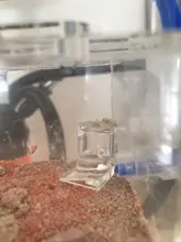 Comedero de comida para granja de hormigas, área de alimentación de comida para nido de hormiga, granja acrílica de hormigas o nidos de insectos, villa, manía de mascotas para casa de hormigas