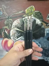 Juego de pinceles de pintura en miniatura con memoria, pluma profesional de nailon con gancho, delineador de arte, dibujo para pintura de acuarela acrílica