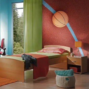 

Wall mural-basketball game-400x309 cm