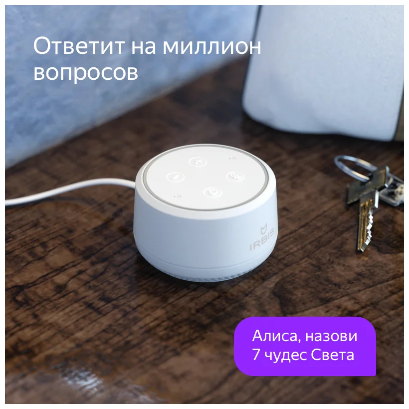 Колонка ирбис с алисой. Алиса голосовой помощник 2020 колонка. Алиса голосовой помощник колонка. Умная приставка алиса. Колонка ирбис с алисой.