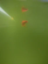 Cleaning-Tool-Accessories Algae-Remover Shrimp Twinstar Aquarium Chihiros Doctor Water-Fish-Tank