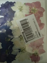 Hojas de resina de flores secas para decoración del hogar, Molde de resina UV Expoxy para arte de uñas, flores prensadas para artesanía para decoración del hogar