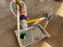 Perch-Stand Ladder Feeder Playground Bird Parrot with Wooden Platform Gym Cups Interactive-Toys