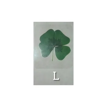 

1 Clover Natural plasticized 4 leaf lucky size L + Legend