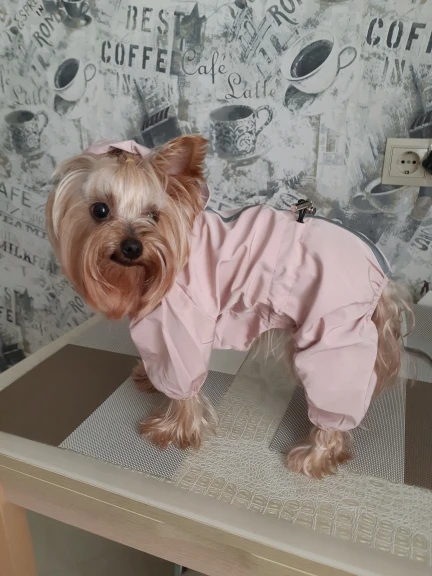 Dog Waterproof Mesh Breathable Sweat-Absorbent Reflective Dog Raincoat with legs photo review