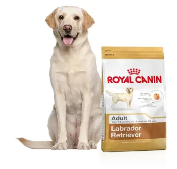 

Royal Canin Labrador Retriever Adult корм для собак породы лабрадор, 3 кг