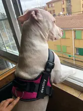 Arnés transpirable reflectante sin tirones para perro, chaleco de arnés de mascota ajustable con parche personalizado de identificación, suministros para caminar al aire libre