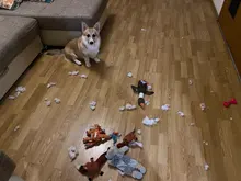 Dog-Toys Chew-Supplies Puppy Sound Dogs Wild Plush Cleaning Teeth Cartoon for Goose Resistance-To-Bite-Squeaky