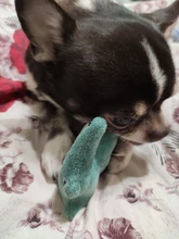 Toys-Supplies Interactive-Toy Dogs Agility Plush Playing Traning Animal Funny Mint Kitten-Teaser