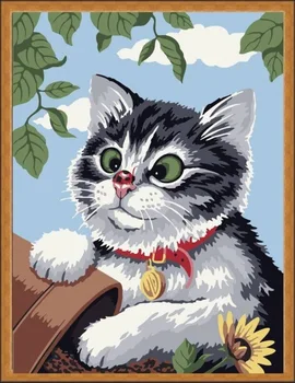 

Painting by Numbers Premium: Curious kitten