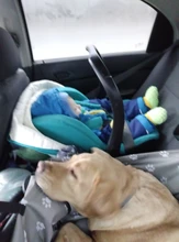 Waterproof Pet Carriers Dog Car Seat Cover Mats Hammock Cushion Carrying For Dogs transportin