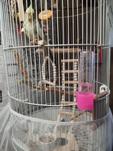 Ladder Playground-Stands Bird-Cage Stand-Play Chew-Toys Parrot Swing Wood Climbing Feeder