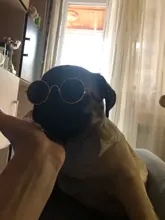 Productos para mascotas encantador redondo Vintage gato gafas de sol reflejo ojo gafas para perro pequeño gato accesorios fotos de mascotas accesorios