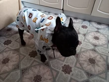 Clothing Bulldog-Clothes Corgi Raincoat Poodle Pug Bichon French Waterproof for Schnauzer