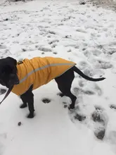 MySudui Medium Big Dog Winter Clothes For Dogs Pets Clothing Reflective Dog Jackets Outdoor