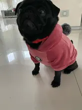 French Bulldog Hoodie Clothing Pet-Dog-Clothes Dogs-Coat Dog-Jacket Puppy Pug York Winter