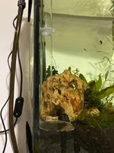 Acrylic Shrimp Feeding Tray Fish Food Feeder Aquarium Fish Tank Feeding Tube