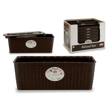 

Planter Stefanplast Natural (15,5 x 13,5 x 39 cm)
