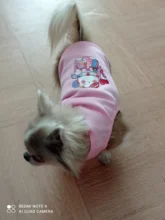 Ropa de verano para mascotas, Camiseta con estampado de flamenco para perro, chaleco para perros pequeños y medianos, accesorios para mascotas, chaleco para gatos, camisas, XS-2XL