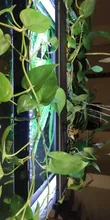 Led-Lighting-Lamp Dimmer Timer Fish-Tank-Light Aquarium Planted NICREW for 32-74cm 110V-240V