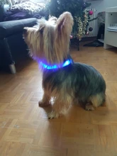 Collar con luces LED para perro, collar de luz recargable por USB, ideal para usar de noche al aire libre, accesorio de seguridad para mascota