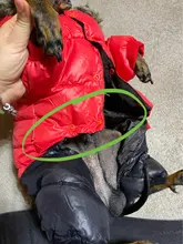 Ropa de invierno para mascotas, chaqueta cálida gruesa para perros pequeños y grandes, abrigo impermeable para cachorros, Chihuahua, Pug, Bulldog francés