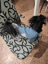 Dog-Dress Dogs-Skirt Yorkshire Summer Chihuahau Dot 