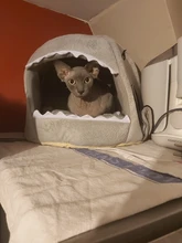 Dog House Shark Washable House Pet Bed Shark Dog Bed Cat Beds & Mats House Sleeping Sofa