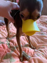 Bozal de silicona para perros, máscara bozal antimordida para perros pequeños y grandes, boquillas para la boca, accesorios de mascota perro