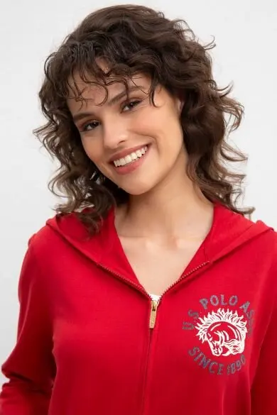 U.S. POLO ASSN. Обычная Толстовка
