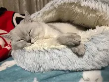 Cat-Bed Cats Nest Puppy-Sleeping-Bag Dogs Plush Soft Round Small Warm Winter New Long