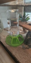 Nuevo reptil bebedor de agua dispensador comida lagarto de plato redondo de la botella de la bebida