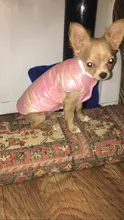 Vest Clothing Pet-Jacket Dog-Coat Puppy French-Bulldog Small Dogs Waterproof Winter For Chihuahua