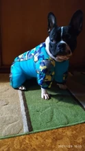 Winter Pet Dog Coat Jacket Thicken Warm Clothes For Dogs Waterproof Reflective Puppy