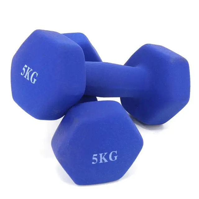 Dumbbells plastic for women, dumbbell Fitness lasting, with style, smooth surface, from 3 kilos, portable optional, 2 pieces 5.0KG