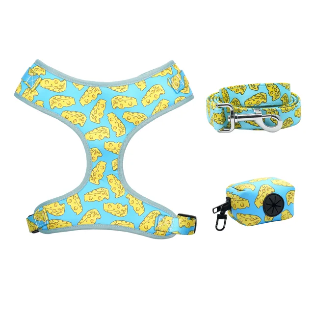 harness-bag-leash