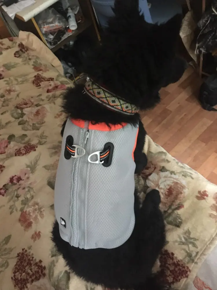 DogMEGA Dog Cooling Vest Harness Cooler Jacket photo review