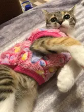 Cat Coats Jacket Dog-Costumes-Clothes Pet-Supplies Small Dogs Fleece Cartoon Autumn/winter