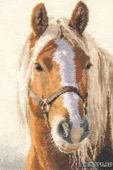 

1-17 Alice 'adel' embroidery set 20*29 cm