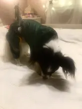 Ropas impermeables para perro para perros pequeños para abrigos lluvia chaqueta chubasquero de cachorro ropa para Chihuahua y Yorkshire productos para mascotas 30S2