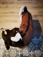 Jacket Vest Puppy-Clothing Pug-Coat Small Dogs Chihuahua Waterproof Winter Teddy Pet-Dog