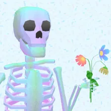 T***z