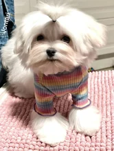 Ropa para perros y cachorros, chaleco, camiseta, camisa, pijama, ropa para perros de invierno