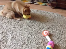 Pet-Toys Dog-Supplies Cat Plush Mini Cartoon Funny Legendog Bite-Resistant